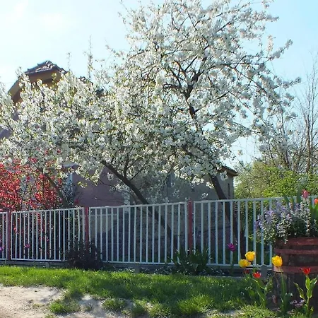 Holiday home In Doebroekoez Mit Privatem Pool *